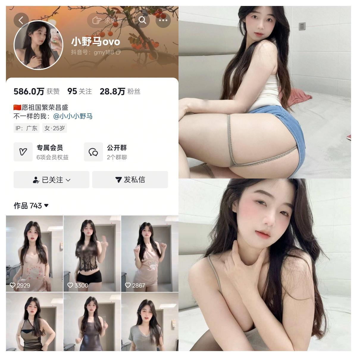 小野马ovo 合集【电鸽性感美女】-