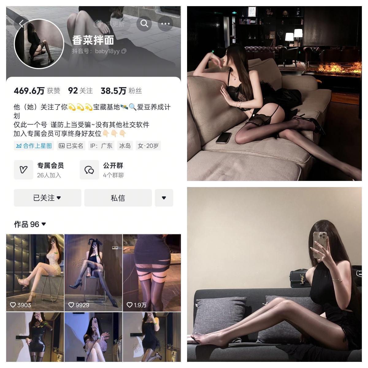 香菜拌面 合集【幻宇星球精美资源】