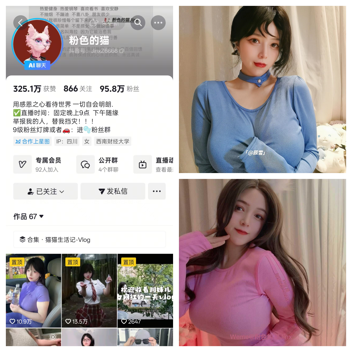 粉色的猫秘语空间/幻宇星球合集【幻宇星球作品推荐】