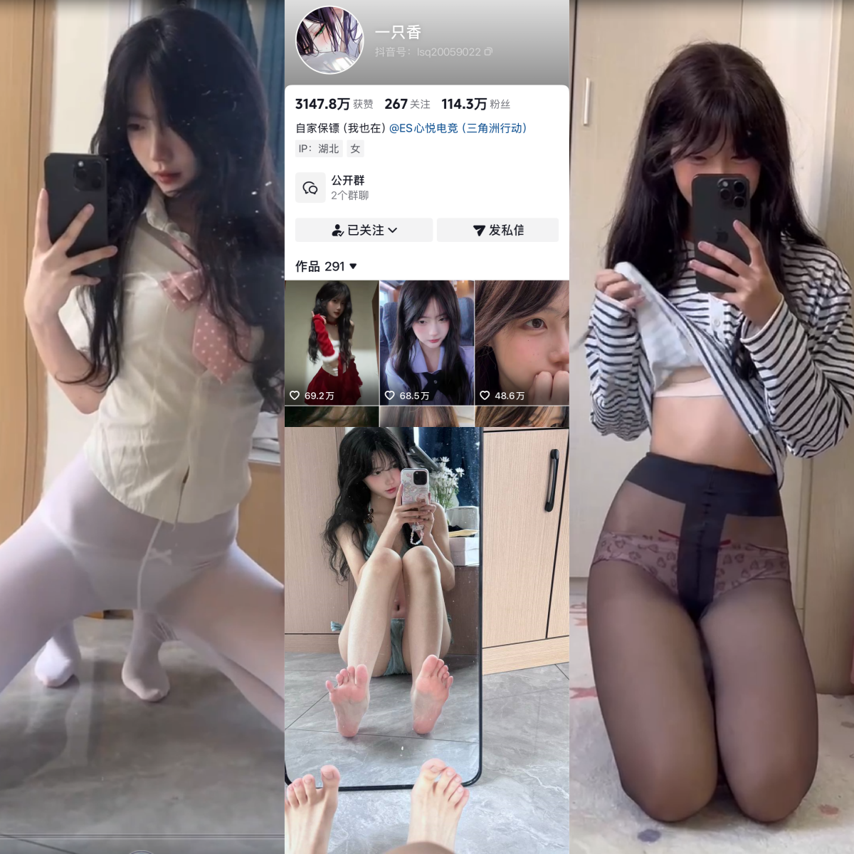 一只香合集【电鸽非常赞】-