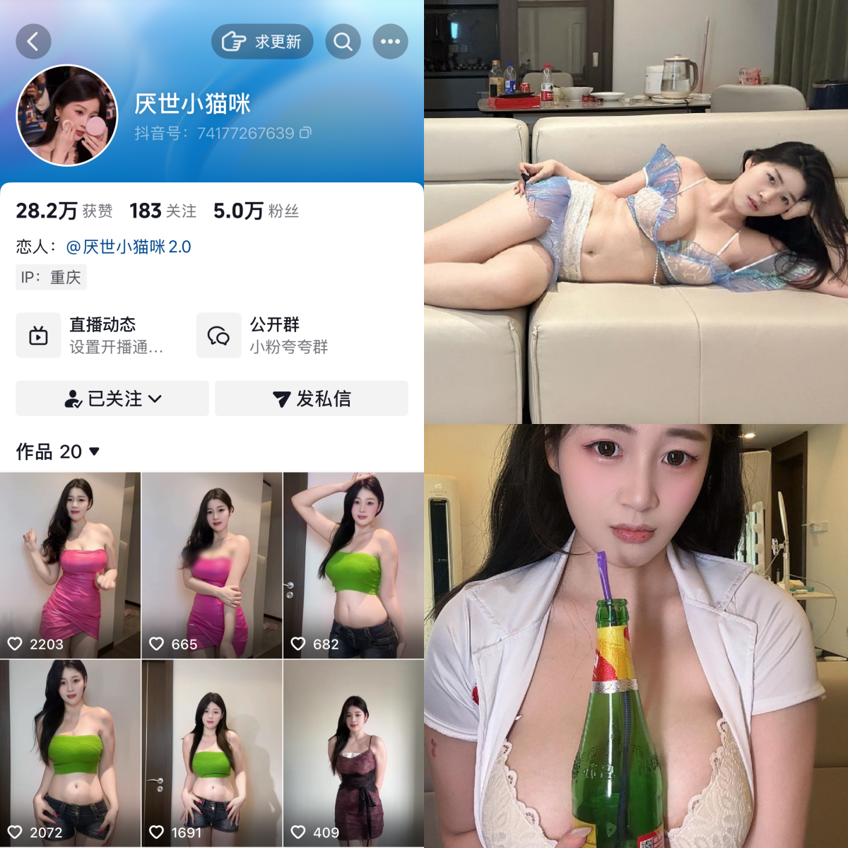 厌世小猫咪合集【快来一看】-