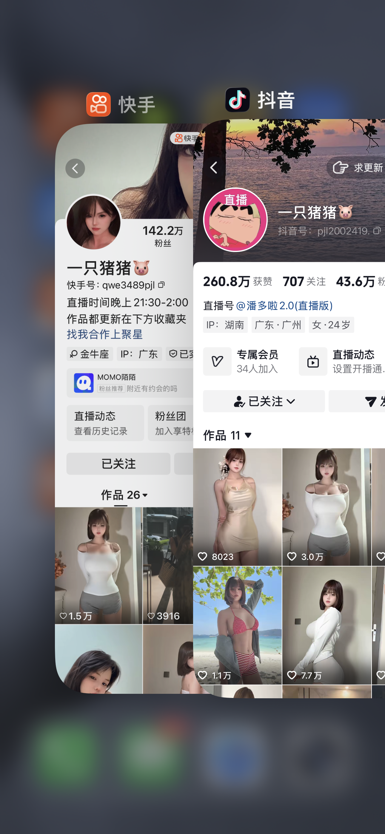 快手一只猪猪私人定制【达人定制】